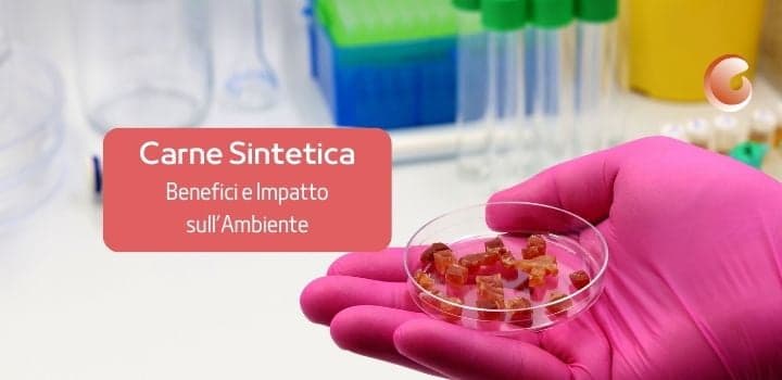 Carne Sintetica: 25 volte più Inquinante di quella Tradizionale?